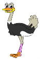 Как нарисовать страуса карандашом поэтапно?» — карточка ...